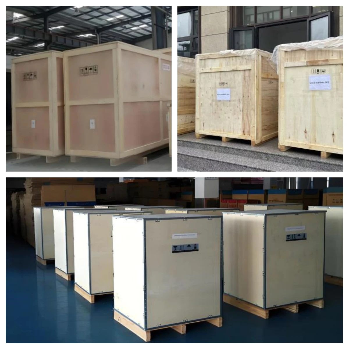 product-1200-1200 product-1200-1200